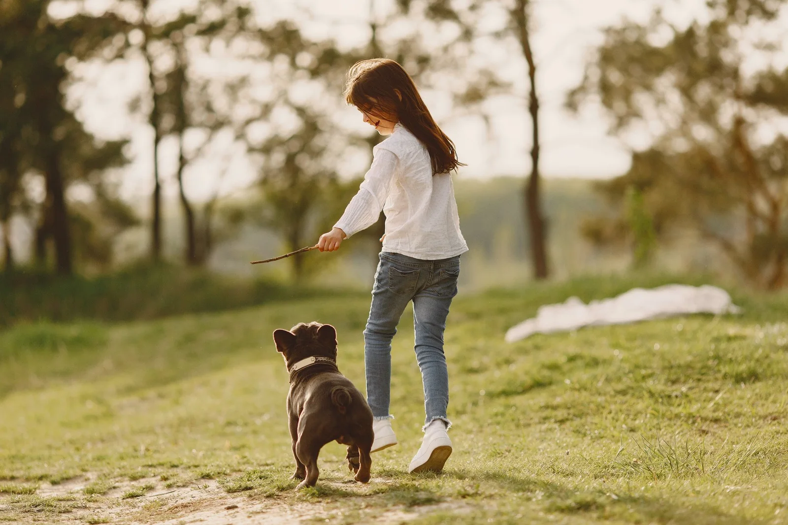 A girl playing with her dog on the lawn